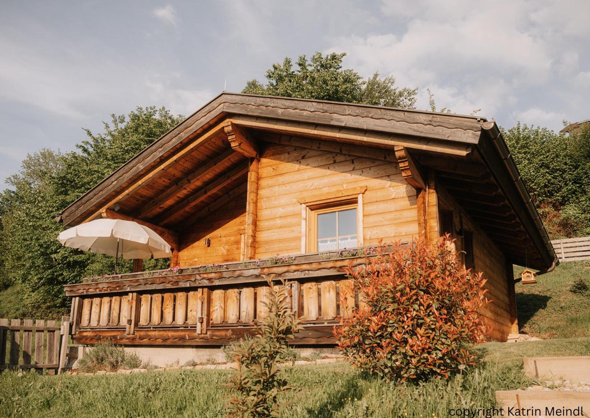 Das Paradieschen Edlitz - Stilvolles Blockhaus Mit Kamin מראה חיצוני תמונה